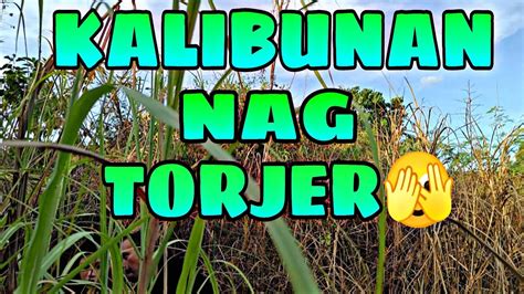 kalituhan in English .
